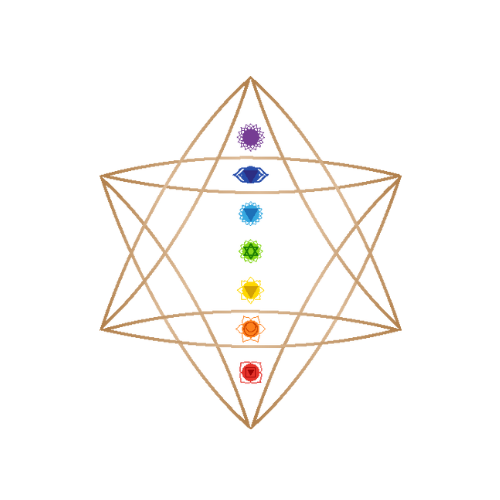 עידית מרקו אימון עסקי